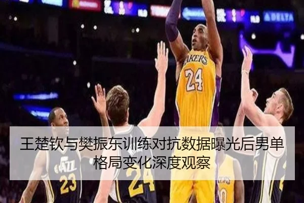 王楚钦与樊振东训练对抗数据曝光后男单格局变化深度观察（skysports）